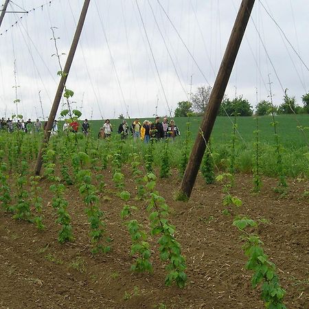 A L'Etoile D'Or Ξενοδοχείο Batzendorf Εξωτερικό φωτογραφία